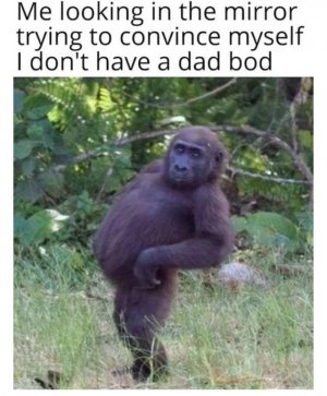 mirr.jpg