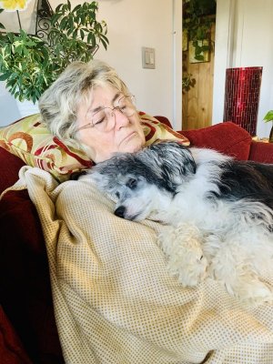 IMG_2248.jpeg IMG_2248.jpeg