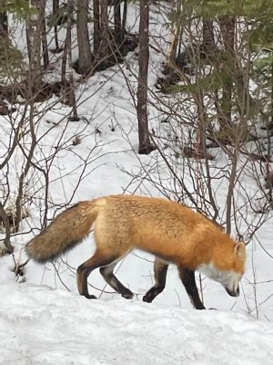 IMG_7990.jpeg IMG_7990.jpeg