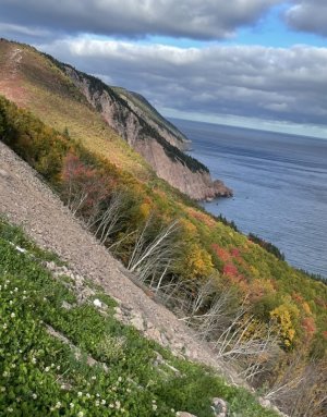 IMG_3357.jpeg IMG_3357.jpeg