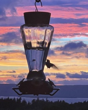 IMG_6767.jpeg IMG_6767.jpeg