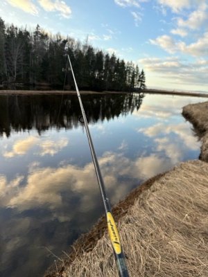 IMG_9429.jpeg IMG_9429.jpeg