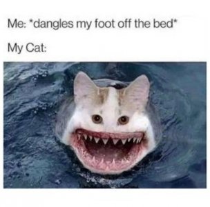 danglefoot.jpg