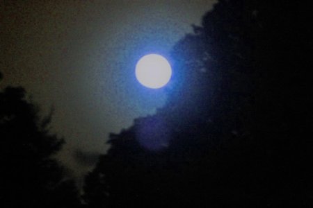 moon 6.jpg
