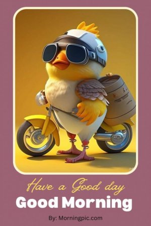 41f77b31453153e86af68a96cc86b444[1].jpg