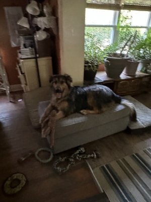 IMG_0012.jpeg IMG_0012.jpeg