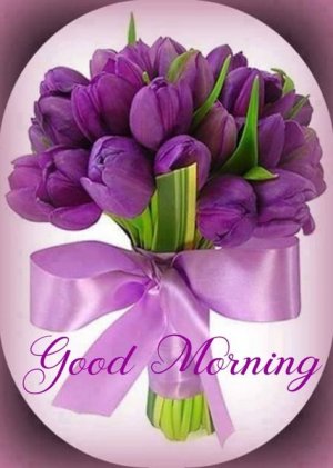 8c6e60fb5ba815812892da8acfeb391b.jpg