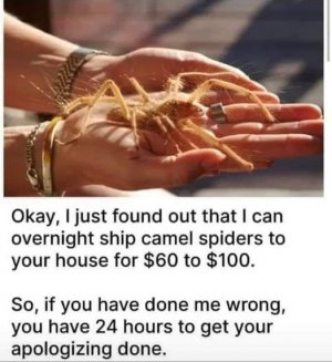358123469_10160438371901519_2852674614490902139_n.jpg
