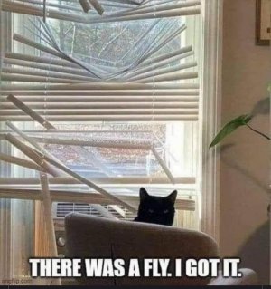 IMG_3952.jpeg