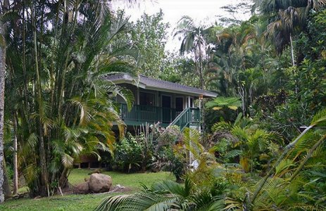 hawaiian-vacation.jpg