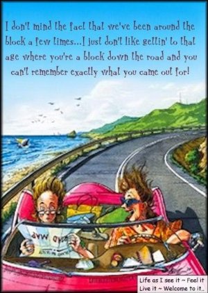 roadtrip.jpg