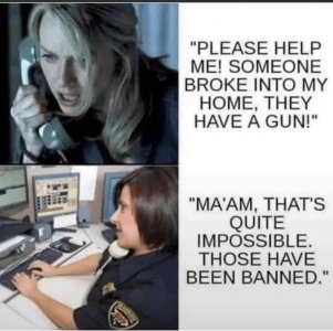gun joke.jpg