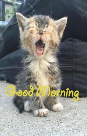 853c1f72ea7af6dd63c011be2ab69494.jpg