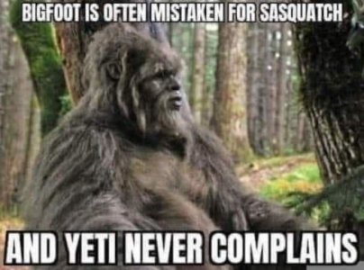 13.jpeg
