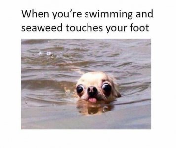 IMG_4027.jpeg