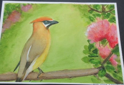 WatercolorBirdApostolides.jpg