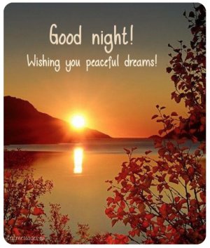 Good Nighy Drms.jpg