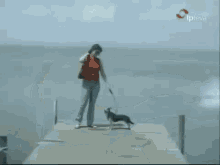 fake-news-serpent-eats-dog.gif