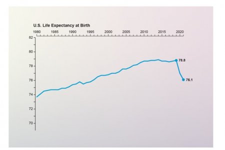 1 (36).jpg 1 (36).jpg