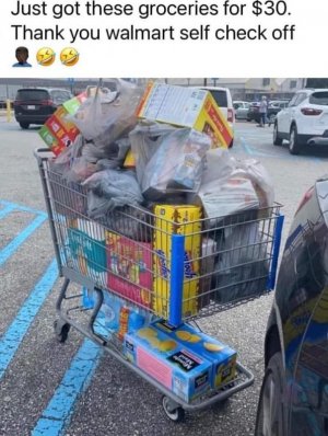 IMG_4044.jpeg