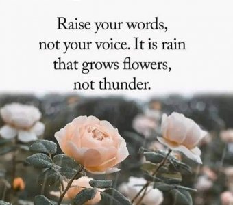 words.jpg