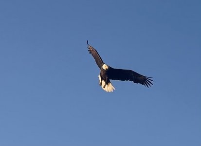 IMG_0232.jpeg IMG_0232.jpeg