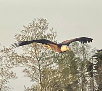 IMG_0279.jpeg IMG_0279.jpeg