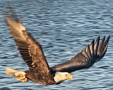 IMG_0281.jpeg IMG_0281.jpeg