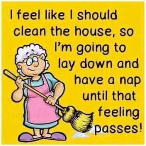 FB_IMG_1691374500432.jpg