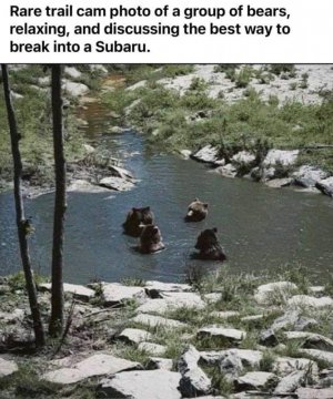 FB_IMG_1691113703083.jpg