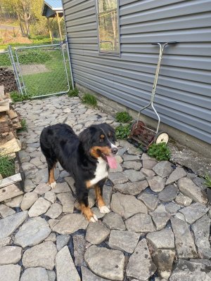 IMG_0041.jpeg IMG_0041.jpeg