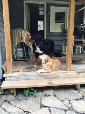 IMG_0009.jpeg IMG_0009.jpeg