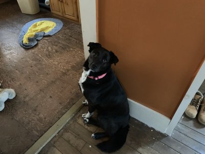 IMG_0007.jpeg IMG_0007.jpeg