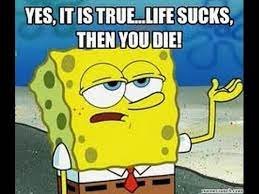 The Fools Life Sucks Then You Die - YouTube