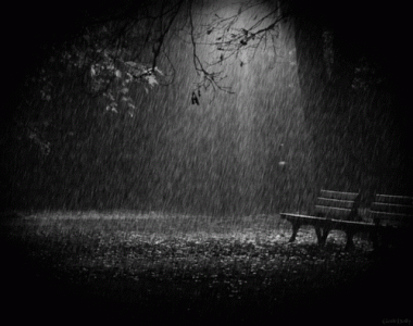 DD0A0F33-50EB-461C-8332-981AF79D57DD.gif
