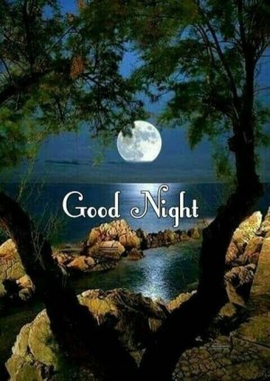 d35493b631f84cb4d1f09a1c52baca54.jpg