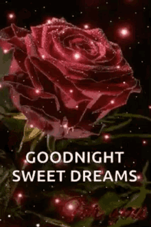 IMG_4125.gif