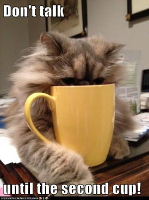 9569e1b2b49e40f22e1332533be96547--need-coffee-coffee-break.jpg