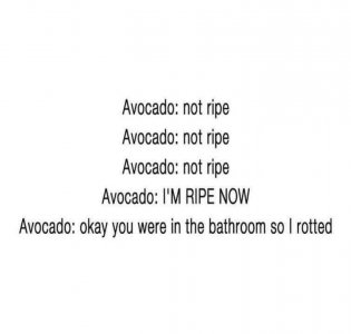 IMG_1894.jpeg