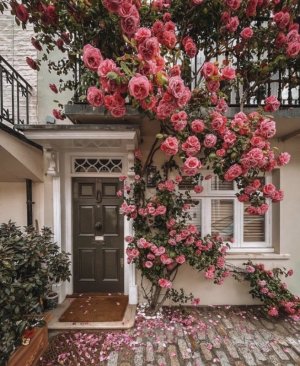 tumblr_a50aaca9e71697a58df311db5a6074f7_150c1086_1280.jpg