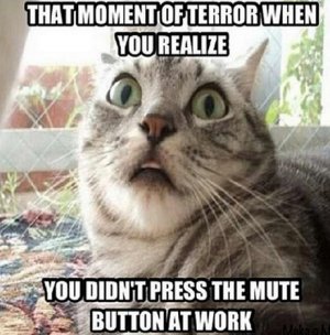 mutebutton.jpg