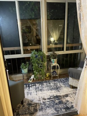 IMG_1186.jpeg