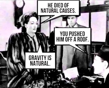 joke meme roof.jpg