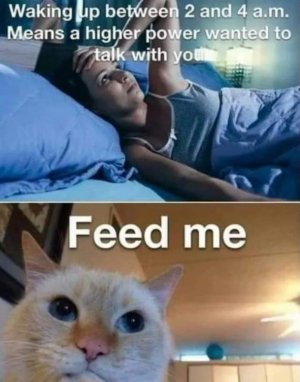 FB_IMG_1692165913374.jpg