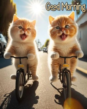 cats.jpg