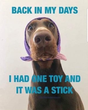 FB_IMG_1692304352092.jpg