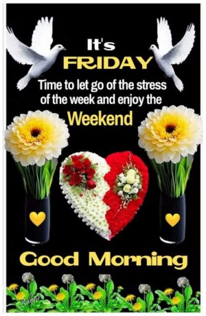 FB_IMG_1692316236574.jpg