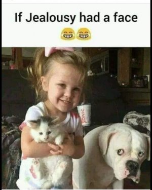 927BC2B0-E68B-4EE7-B0BA-7625849891E8.jpeg