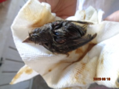 DSC03134.JPG DSC03134.JPG