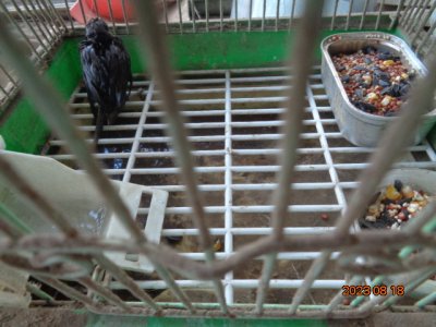 DSC03136.JPG DSC03136.JPG